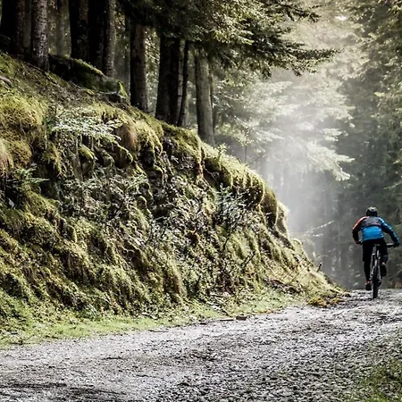 Casa de Férias Casa Cecilia Los Silos