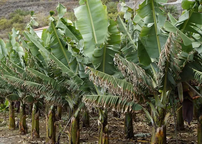 Casa Cecilia בית נופש *