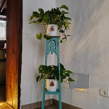 Casa de Férias Casa Cecilia