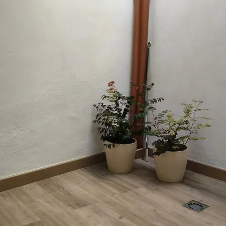 Casa Cecilia * Los Silos