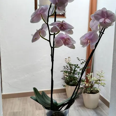 Feriehus Casa Cecilia