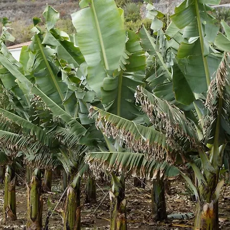 Casa Cecilia Feriehus *